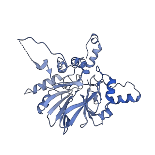 10180_6sgb_FL_v1-0
mt-SSU assemblosome of Trypanosoma brucei