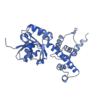 10180_6sgb_FM_v1-0
mt-SSU assemblosome of Trypanosoma brucei