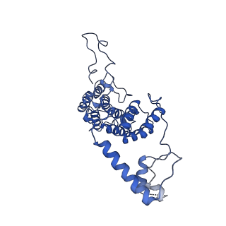 10180_6sgb_FO_v1-0
mt-SSU assemblosome of Trypanosoma brucei