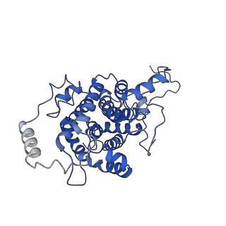 10180_6sgb_FP_v1-0
mt-SSU assemblosome of Trypanosoma brucei