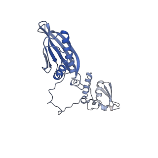 10180_6sgb_FQ_v1-0
mt-SSU assemblosome of Trypanosoma brucei