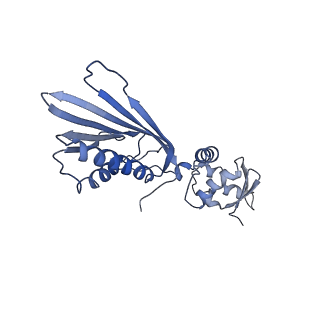 10180_6sgb_FR_v1-0
mt-SSU assemblosome of Trypanosoma brucei