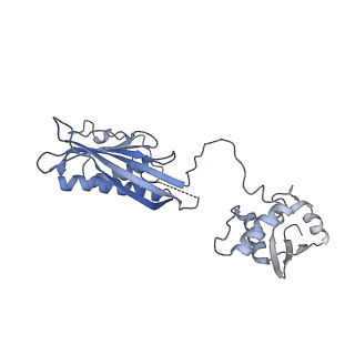 10180_6sgb_FS_v1-0
mt-SSU assemblosome of Trypanosoma brucei