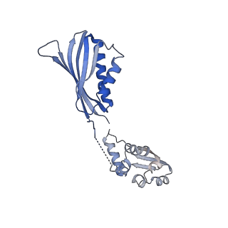 10180_6sgb_FT_v1-0
mt-SSU assemblosome of Trypanosoma brucei