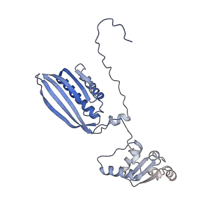 10180_6sgb_FU_v1-0
mt-SSU assemblosome of Trypanosoma brucei