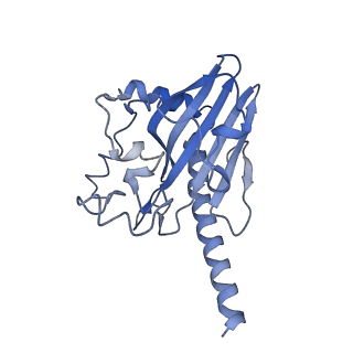 10180_6sgb_FV_v1-0
mt-SSU assemblosome of Trypanosoma brucei