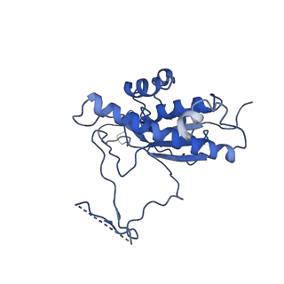 10180_6sgb_FW_v1-0
mt-SSU assemblosome of Trypanosoma brucei