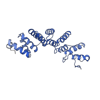 10180_6sgb_FX_v1-0
mt-SSU assemblosome of Trypanosoma brucei