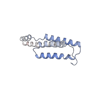 10180_6sgb_Fb_v1-0
mt-SSU assemblosome of Trypanosoma brucei