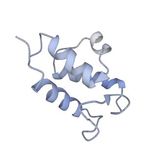 10180_6sgb_Fc_v1-0
mt-SSU assemblosome of Trypanosoma brucei