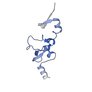 10180_6sgb_Fd_v1-0
mt-SSU assemblosome of Trypanosoma brucei