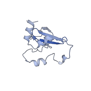 10180_6sgb_Fe_v1-0
mt-SSU assemblosome of Trypanosoma brucei