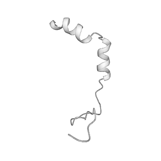 10180_6sgb_UP_v1-0
mt-SSU assemblosome of Trypanosoma brucei