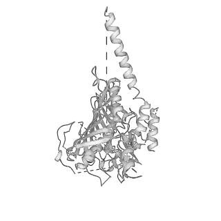 10180_6sgb_UY_v1-0
mt-SSU assemblosome of Trypanosoma brucei