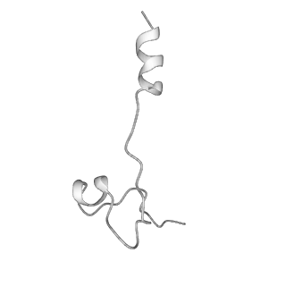 10180_6sgb_Ub_v1-0
mt-SSU assemblosome of Trypanosoma brucei