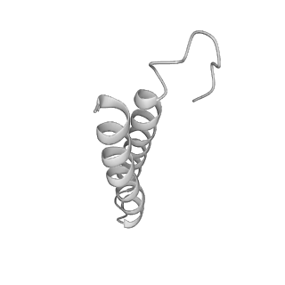 10180_6sgb_Ud_v1-0
mt-SSU assemblosome of Trypanosoma brucei
