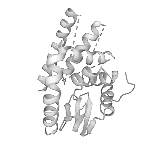 10180_6sgb_Ug_v1-0
mt-SSU assemblosome of Trypanosoma brucei