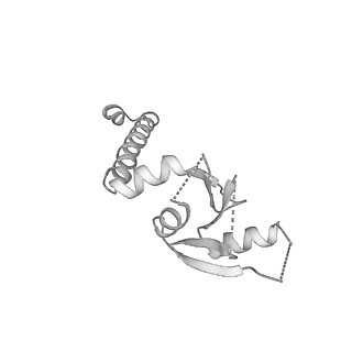 10180_6sgb_Ux_v1-0
mt-SSU assemblosome of Trypanosoma brucei