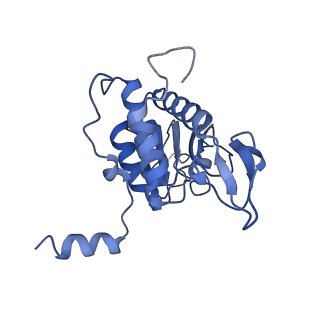 10181_6sgc_B1_v1-2
Rabbit 80S ribosome stalled on a poly(A) tail