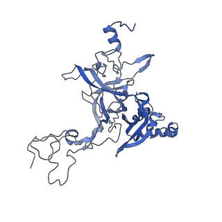 10181_6sgc_B2_v1-2
Rabbit 80S ribosome stalled on a poly(A) tail