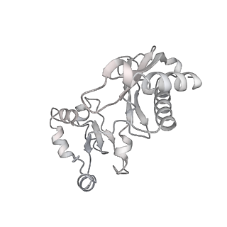 10181_6sgc_B_v1-2
Rabbit 80S ribosome stalled on a poly(A) tail