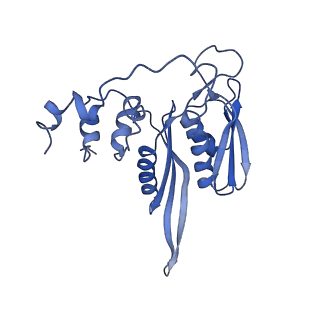 10181_6sgc_D1_v1-2
Rabbit 80S ribosome stalled on a poly(A) tail