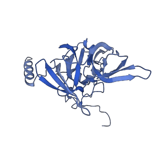 10181_6sgc_F1_v1-2
Rabbit 80S ribosome stalled on a poly(A) tail