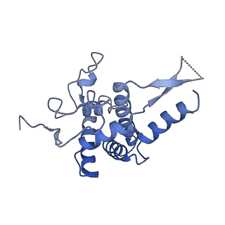10181_6sgc_G1_v1-2
Rabbit 80S ribosome stalled on a poly(A) tail