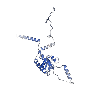 10181_6sgc_G2_v1-2
Rabbit 80S ribosome stalled on a poly(A) tail