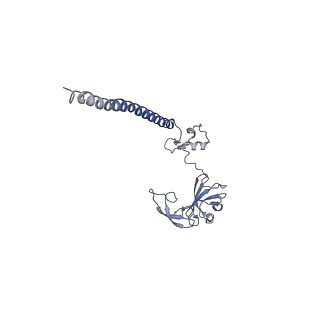 10181_6sgc_H1_v1-2
Rabbit 80S ribosome stalled on a poly(A) tail