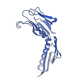 10181_6sgc_H2_v1-2
Rabbit 80S ribosome stalled on a poly(A) tail