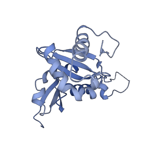 10181_6sgc_I1_v1-2
Rabbit 80S ribosome stalled on a poly(A) tail