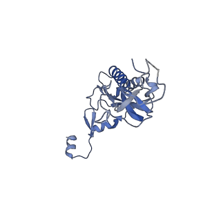 10181_6sgc_I2_v1-2
Rabbit 80S ribosome stalled on a poly(A) tail