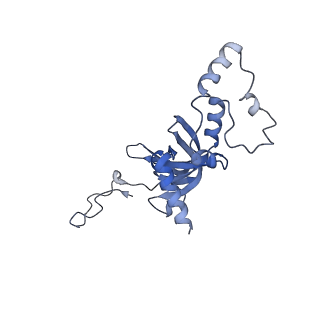 10181_6sgc_J1_v1-2
Rabbit 80S ribosome stalled on a poly(A) tail