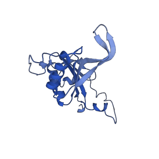 10181_6sgc_J2_v1-2
Rabbit 80S ribosome stalled on a poly(A) tail