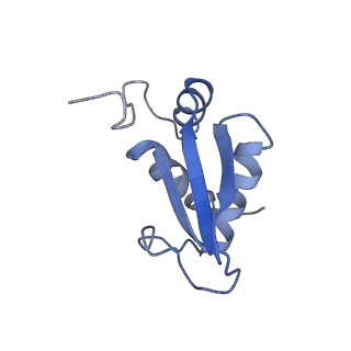 10181_6sgc_L1_v1-2
Rabbit 80S ribosome stalled on a poly(A) tail