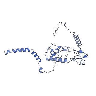 10181_6sgc_L2_v1-2
Rabbit 80S ribosome stalled on a poly(A) tail