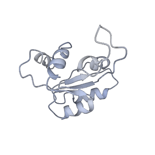 10181_6sgc_N1_v1-2
Rabbit 80S ribosome stalled on a poly(A) tail