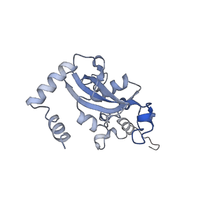 10181_6sgc_N2_v1-2
Rabbit 80S ribosome stalled on a poly(A) tail