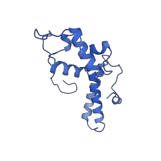 10181_6sgc_O1_v1-2
Rabbit 80S ribosome stalled on a poly(A) tail