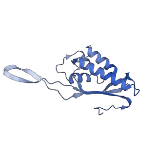 10181_6sgc_P2_v1-2
Rabbit 80S ribosome stalled on a poly(A) tail