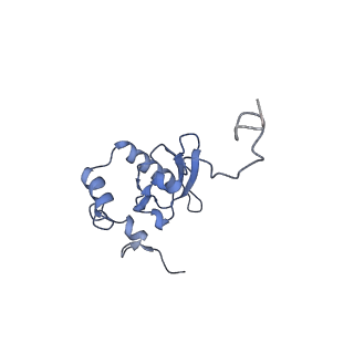 10181_6sgc_Q1_v1-2
Rabbit 80S ribosome stalled on a poly(A) tail