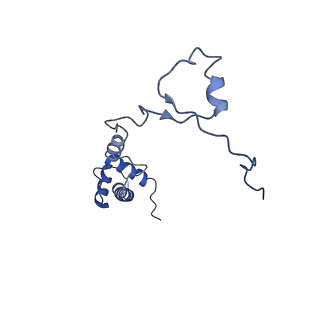 10181_6sgc_S1_v1-2
Rabbit 80S ribosome stalled on a poly(A) tail