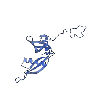 10181_6sgc_S2_v1-2
Rabbit 80S ribosome stalled on a poly(A) tail