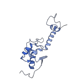 10181_6sgc_T1_v1-2
Rabbit 80S ribosome stalled on a poly(A) tail