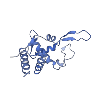 10181_6sgc_U1_v1-2
Rabbit 80S ribosome stalled on a poly(A) tail