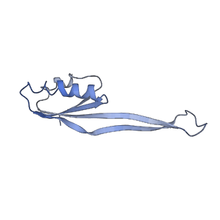 10181_6sgc_V1_v1-2
Rabbit 80S ribosome stalled on a poly(A) tail