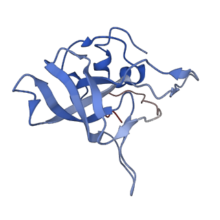 10181_6sgc_V2_v1-2
Rabbit 80S ribosome stalled on a poly(A) tail