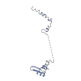 10181_6sgc_W2_v1-2
Rabbit 80S ribosome stalled on a poly(A) tail