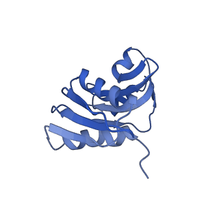 10181_6sgc_X1_v1-2
Rabbit 80S ribosome stalled on a poly(A) tail